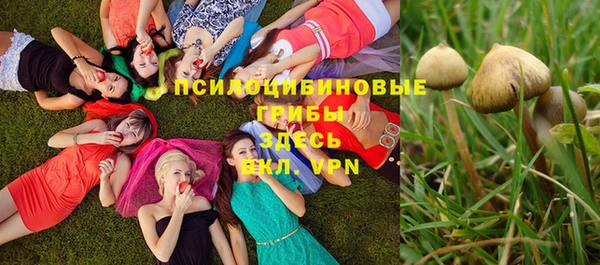 амф Армянск