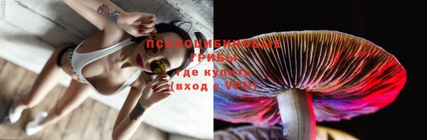 ешки Аркадак