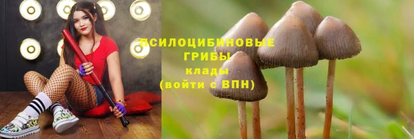 амф Армянск