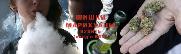 ешки Аркадак